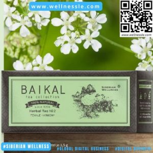 Baikal Tea Collection Herbal Tea N2 Siberian Wellness Germany