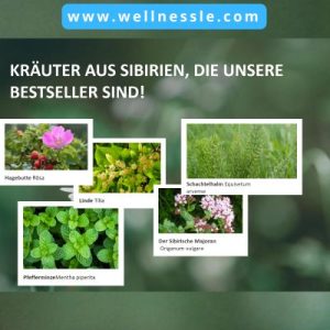 Was ist Sibirische Kräutermischung