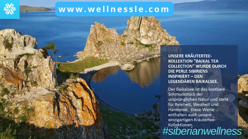 Baikal Tea Collection KräuterteeKollektionen